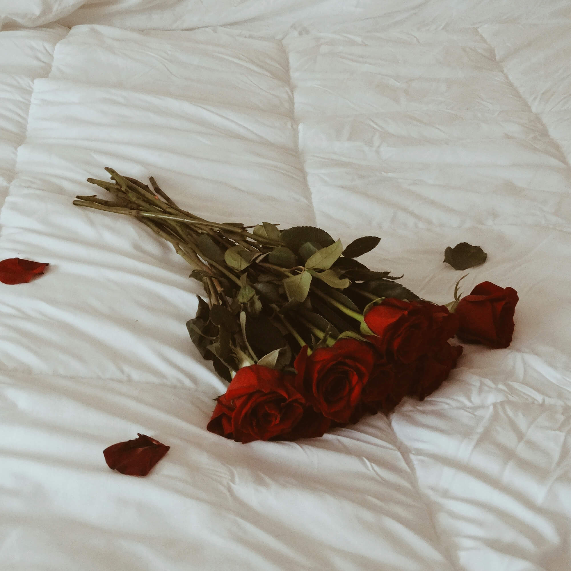 A bouquet of deep red roses lies on a soft white quilted bedspread, with a few scattered rose petals nearby, evoking a romantic and intimate atmosphere.